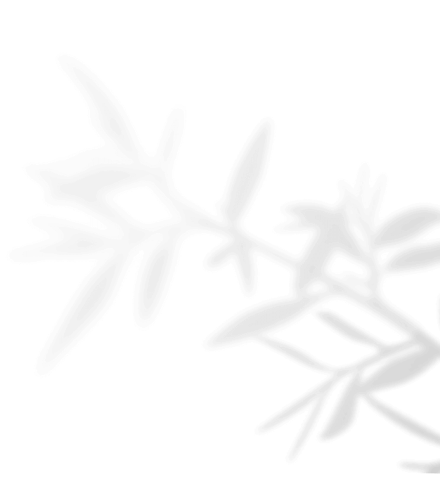 https://slubnefilmy.pl/wp-content/uploads/2020/11/shadow_leaves_04.png